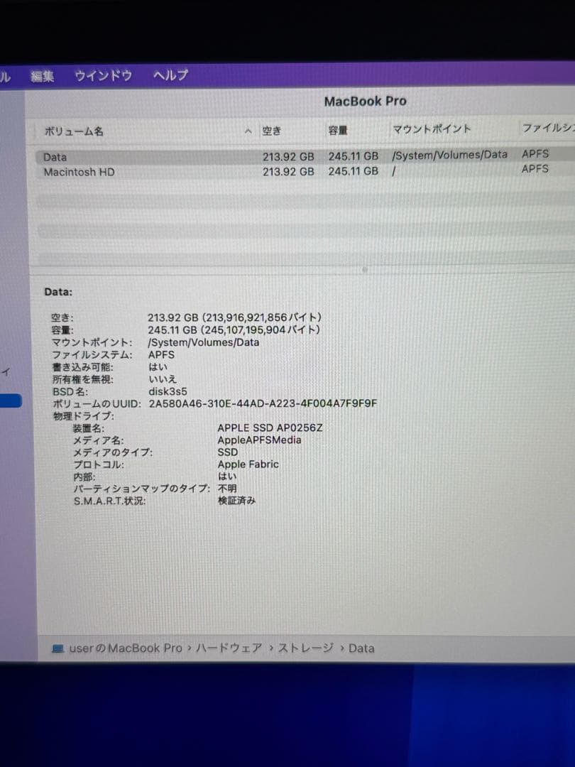 MacBook Pro M2 16GB 256GB アップル 2022