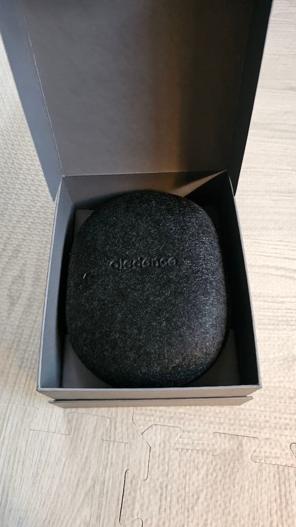 イヤホン Oladance OWS Sports