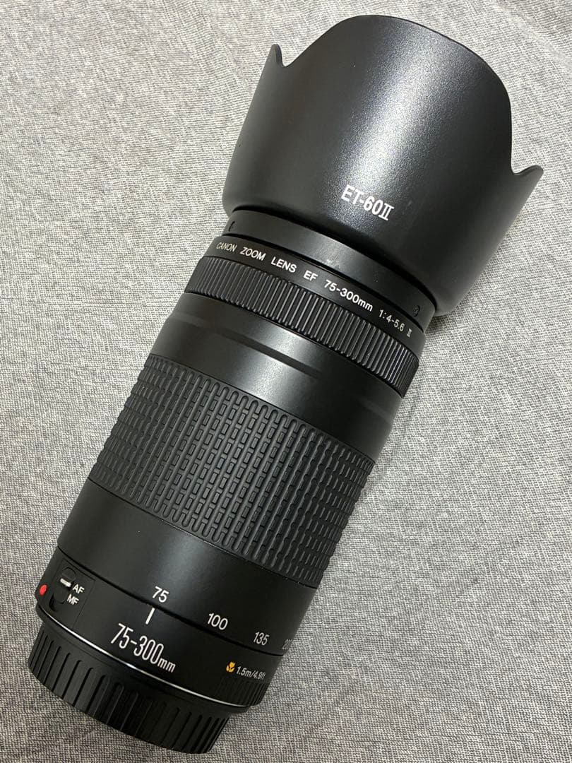 ⭐️美品⭐️ Canon EF 75-300mm F4-5.6 II フード付望遠