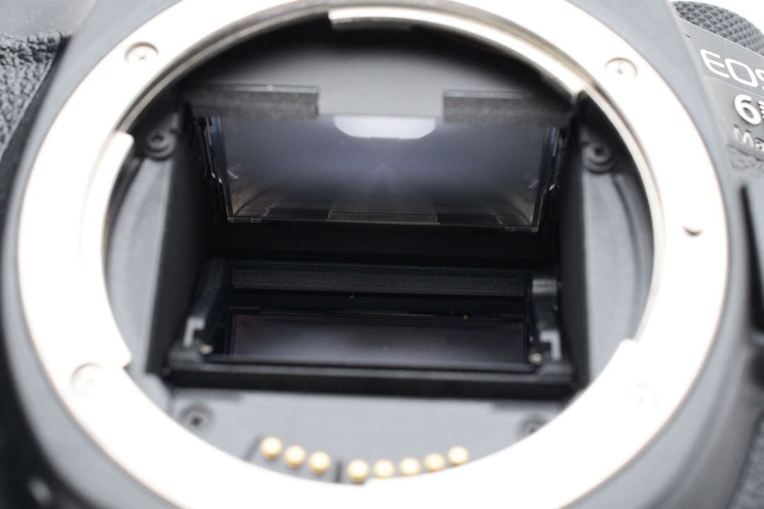 一眼レフ/Canon EOS 6D Mark II標準&望遠ダブルレンズセット