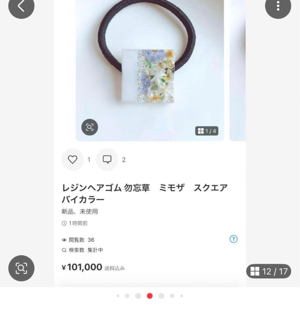 ひまういページ　ポニーフック4点　ヘアゴム 4点