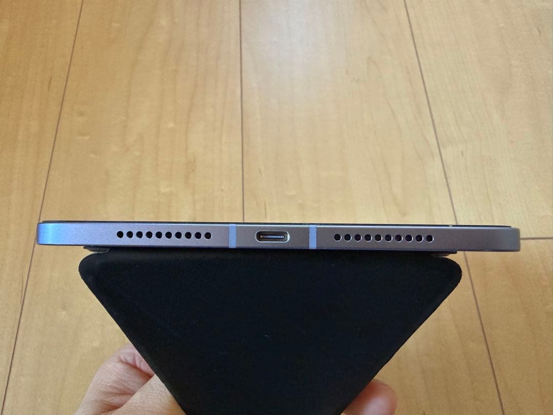 iPad本体 Apple iPad mini Wi-Fi+Cellular 256GB