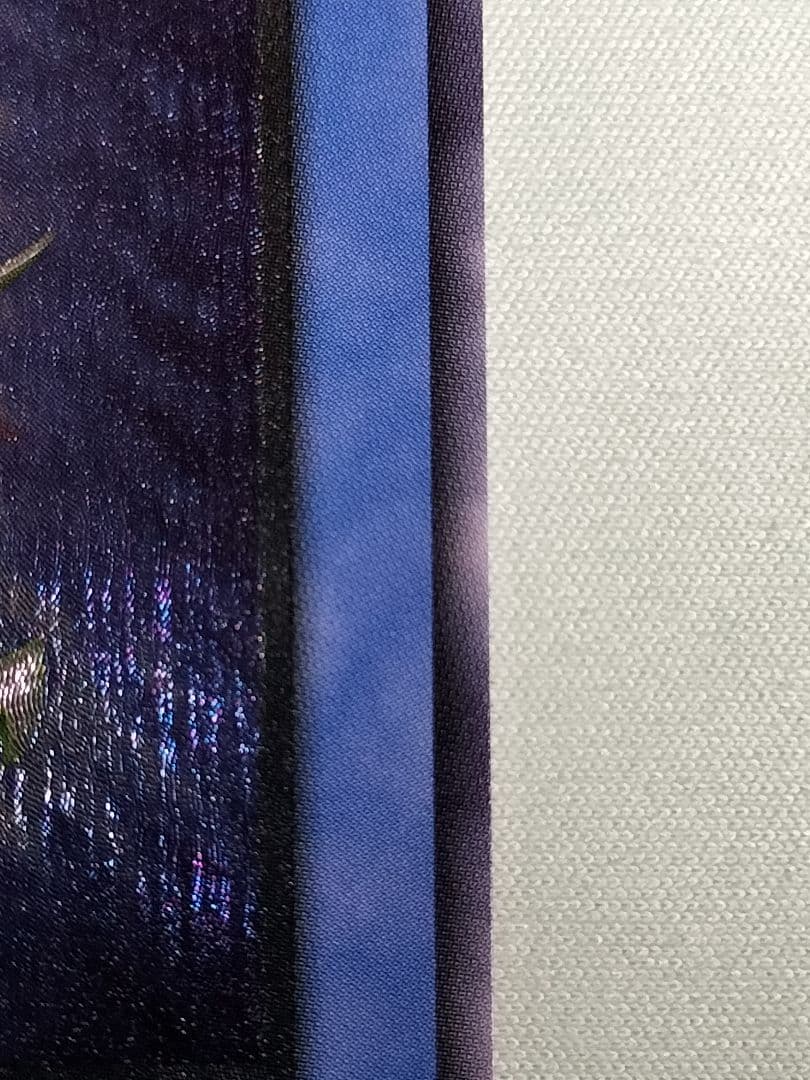 『極美品』カオスソルジャー　レリーフ