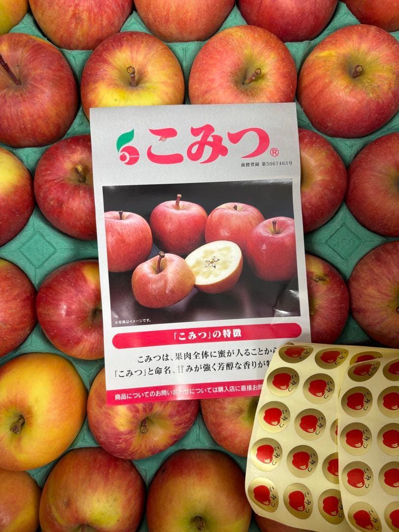 青森産こみつりんご　56玉！10kg！