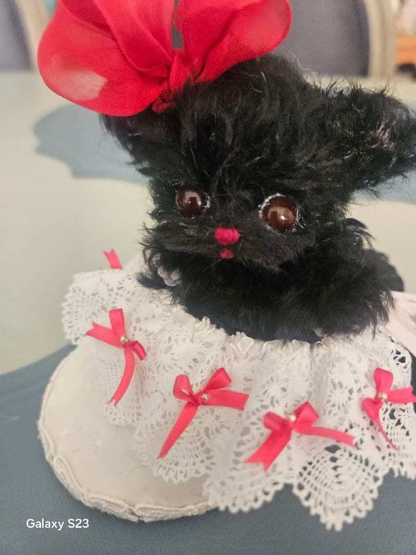 細川さん作品、タイタニックの猫