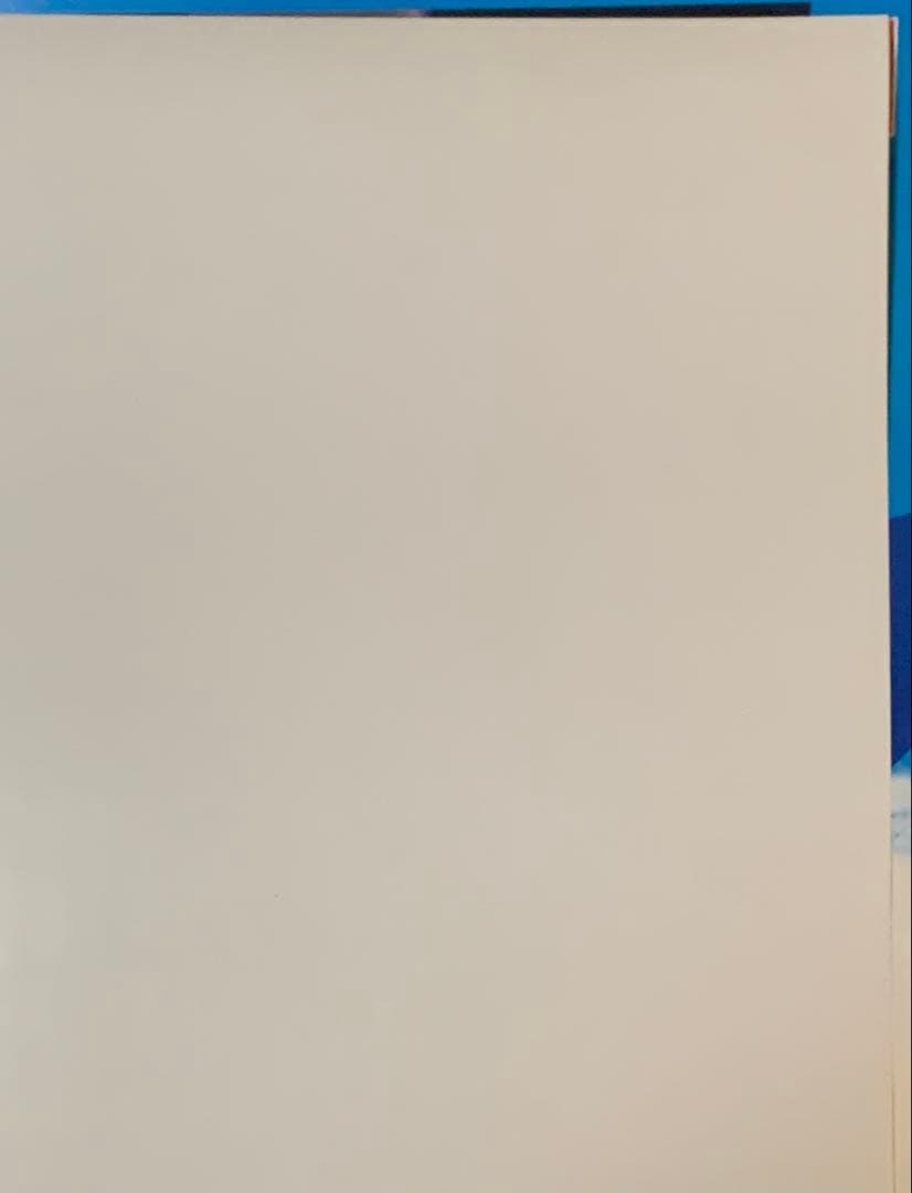 【B2・表面フチ痛み】 デビルメイクライ3 販促 非売品 ポスター