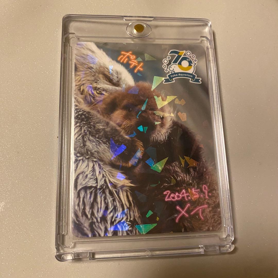 鳥羽水族館　コレクションカード　メイ