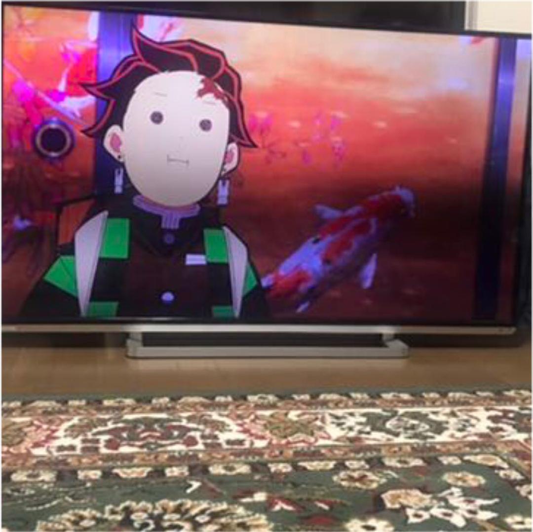 TOSHIBA LED REGZA G9 50G9 50イン