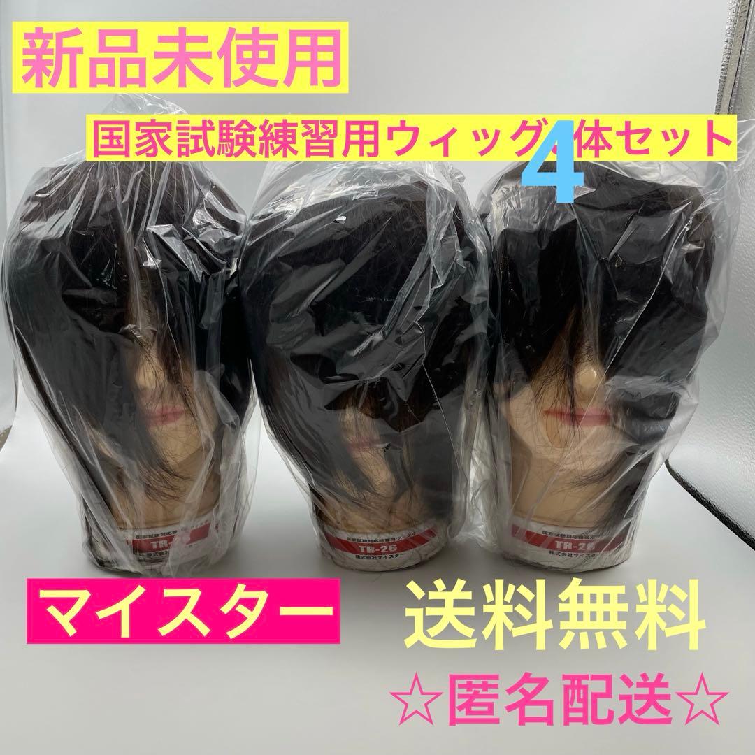 カットウィッグ　カットマネキン　国家試験用　練習用　マイスター　新品未使用
