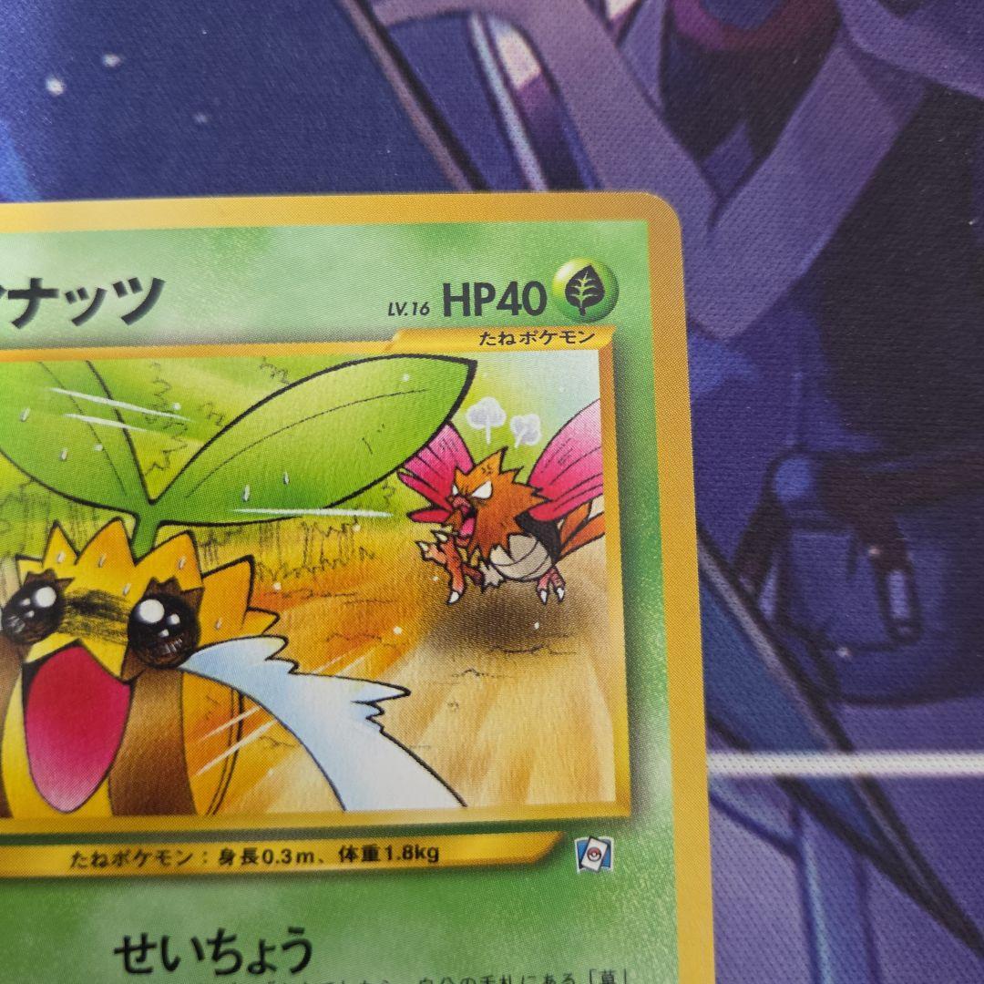 ポケカ ポケモンカード ヒマナッツ 旧裏 プロモ なったわけ