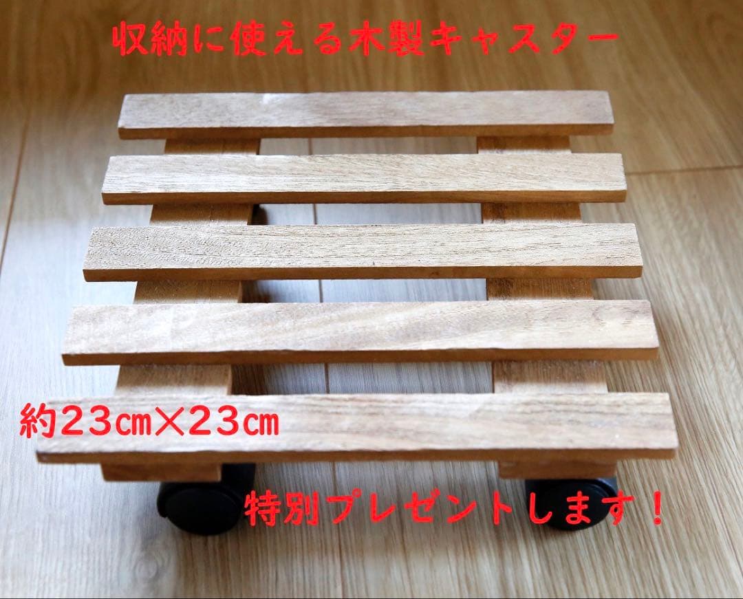 【美品】サキナピノ美顔器　微弱電流で美容&育毛