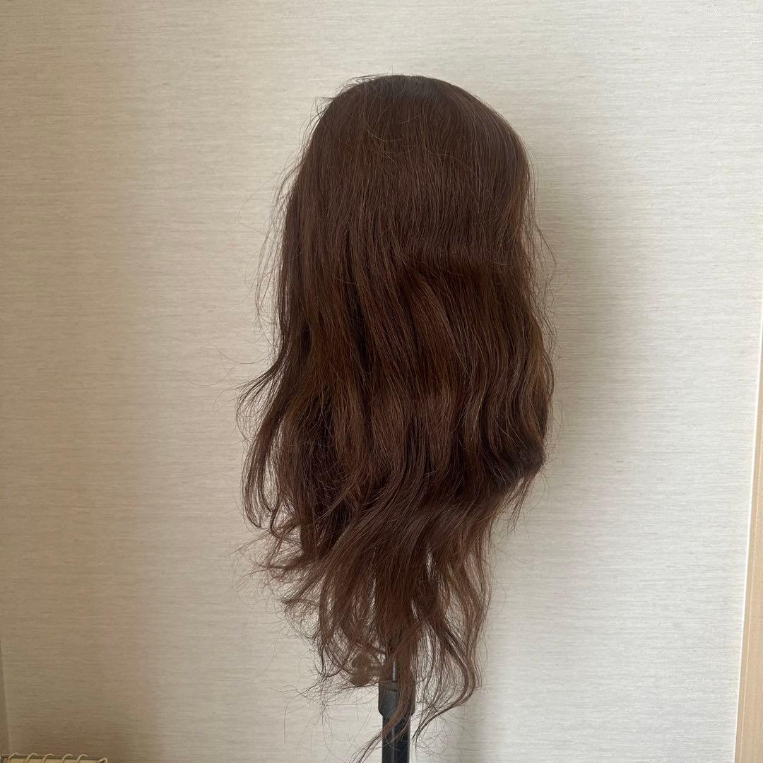 NBAA アップ アレンジ ウィッグ