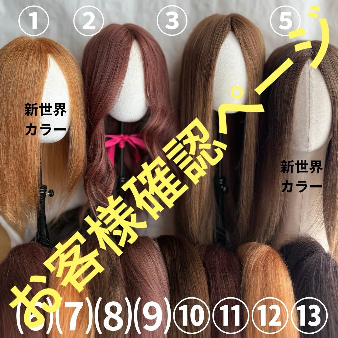 2025新世界　人毛　フルウィッグ　ウィッグ　シルクスキン　医療ウィッグ　レミー