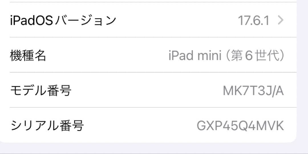 【美品】iPadmini6 スペースグレー　WiFi　256GB 純正カバー付き