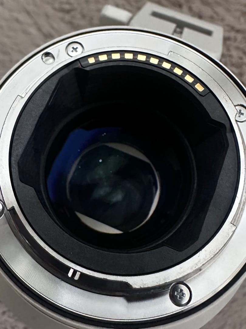 【美品】SONY FE 70-200mm F2.8 GM OSS II