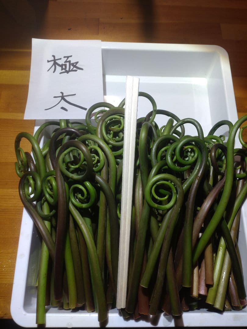 令和7年度秋田県産天然乾燥ゼンマイ500g(極太)03
