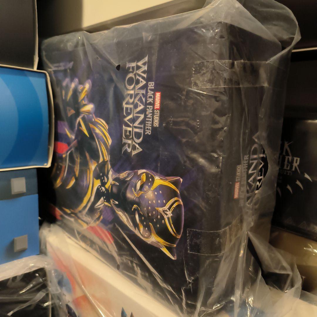 ムービー・マスターピース ブラックパンサー ワカンダ・フォーエバー 1/6