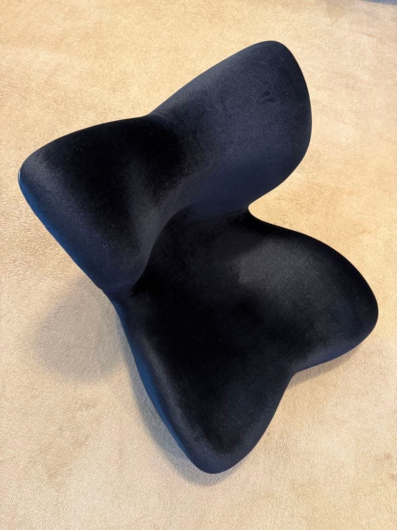 MTG エムティージー 骨盤サポート座椅子 Style PREMIUM DX 黒