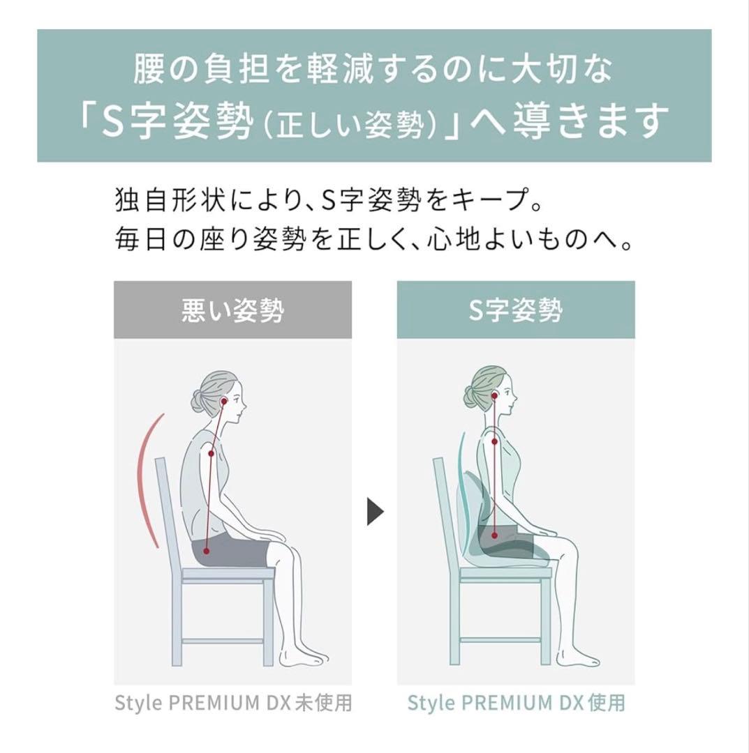 MTG エムティージー 骨盤サポート座椅子 Style PREMIUM DX 黒