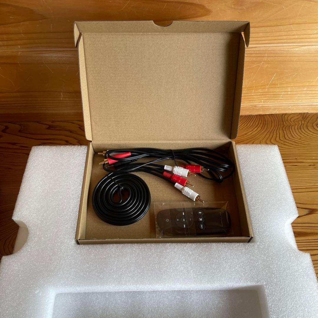 スピーカー・ウーファー AIRPULSE P100X