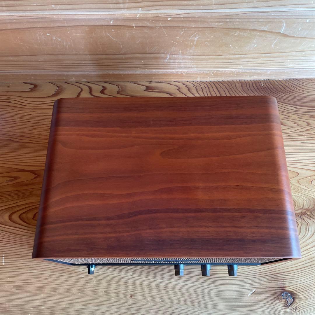 スピーカー・ウーファー AIRPULSE P100X