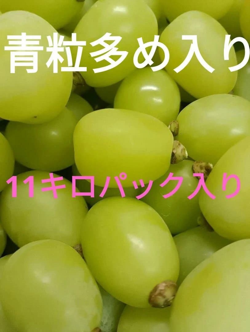 シャインマスカット増量の、徳用11キロ入りの粒バック入りになります。