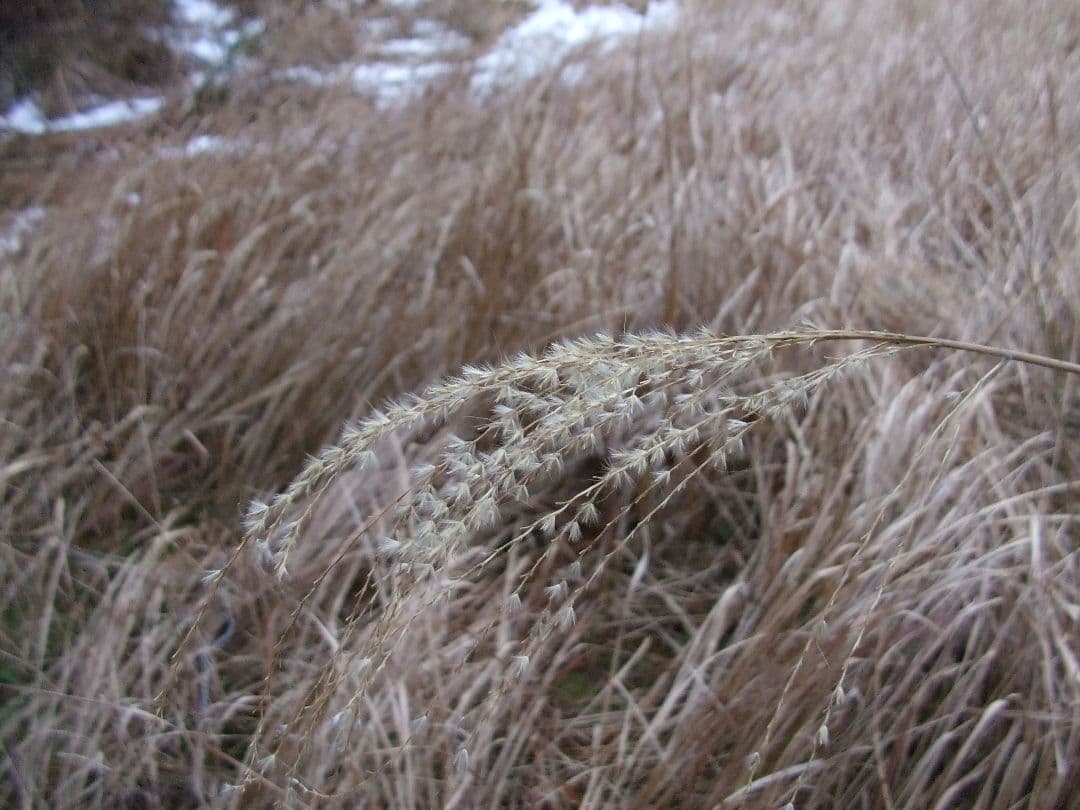 FUJIFILM Finepix A610 デジタルカメラ 動作確認済み