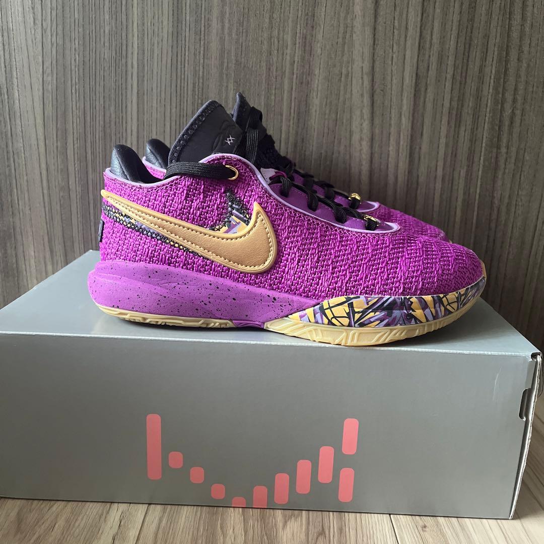 バッシュ　LEBRON XX SE (GS) 23.5㎝