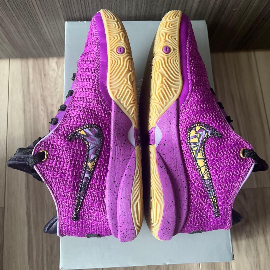 バッシュ　LEBRON XX SE (GS) 23.5㎝