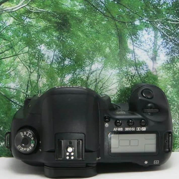 ❤スマホに転送OK✴初心者向き☆美品♪canon EOS 10D♪付属品多数❤