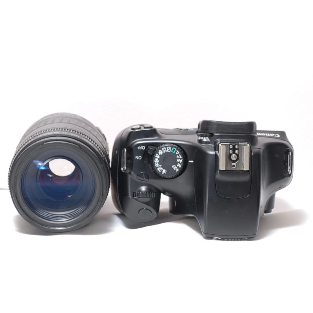 もふもふ 超望遠レンズデビュー✨Canon Kiss X50✨