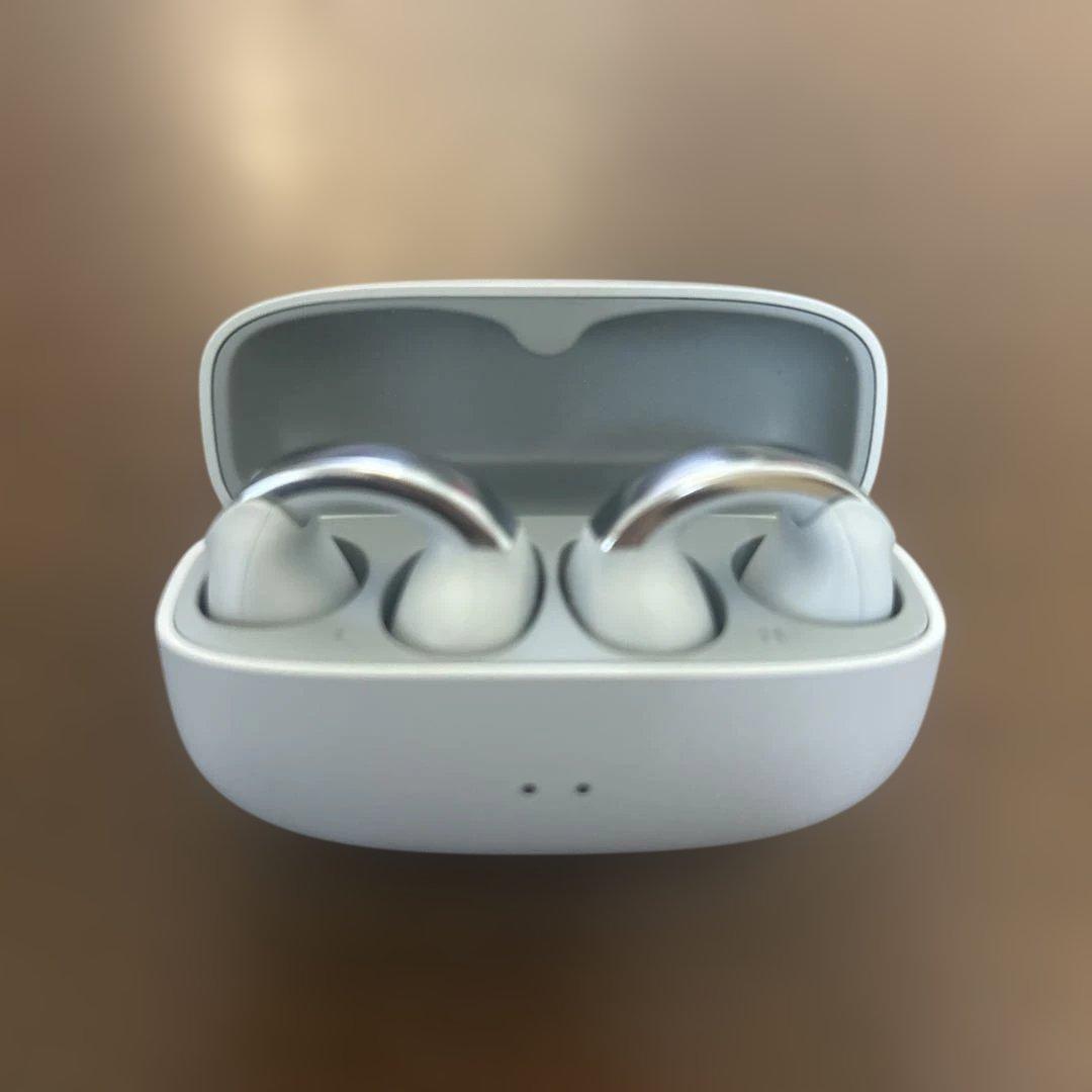 【ねぎま】JVCケンウッド Victor HA-NP1T-H