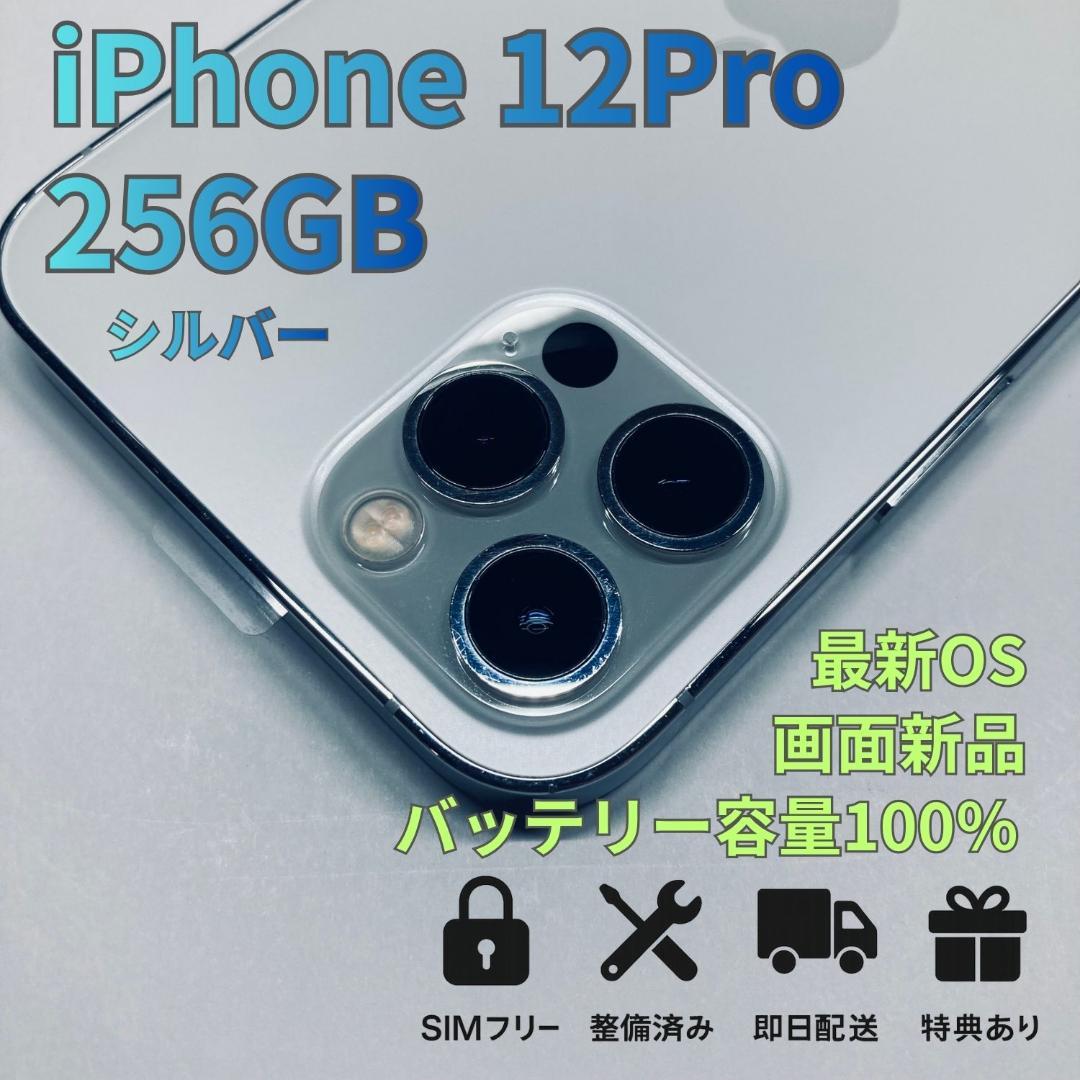 スマートフォン本体 iPhone 12 pro 256GB