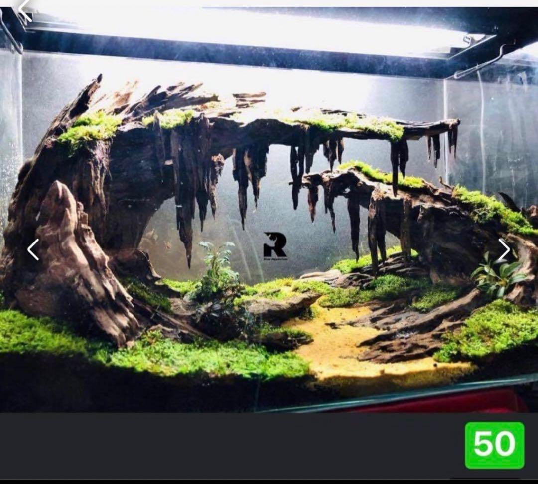 TTD 【⭐︎ Kni-y様⭐︎】【美品・数量限定】