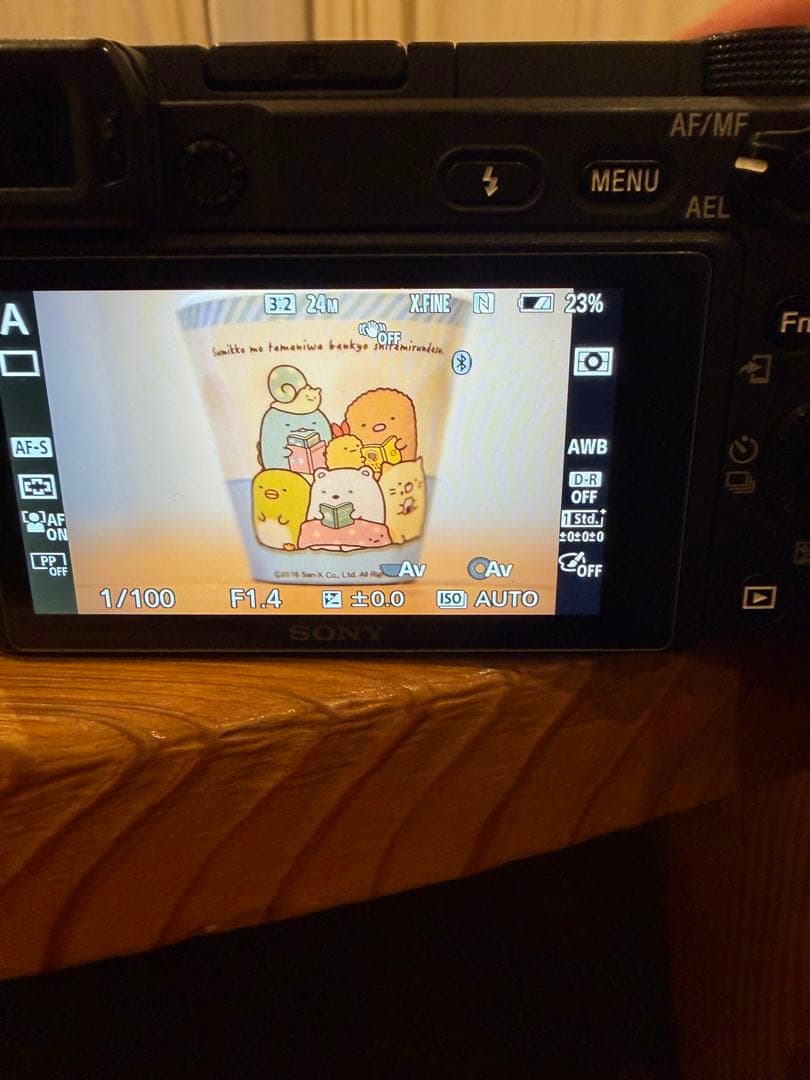 3h限定α6400 ボディ【プロ査定ABランク】 （クリーニングで改善可）