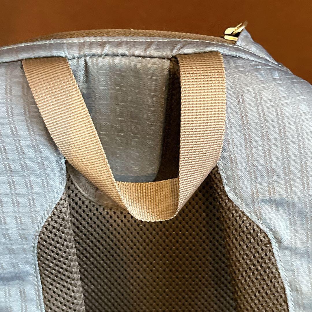 希少　廃盤 patagonia バックパック ブルー