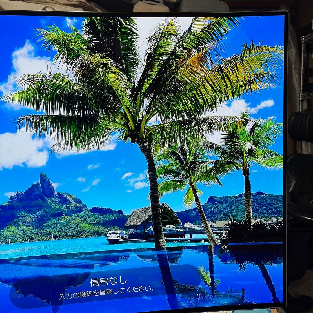 テレビ LG OLED55C6P