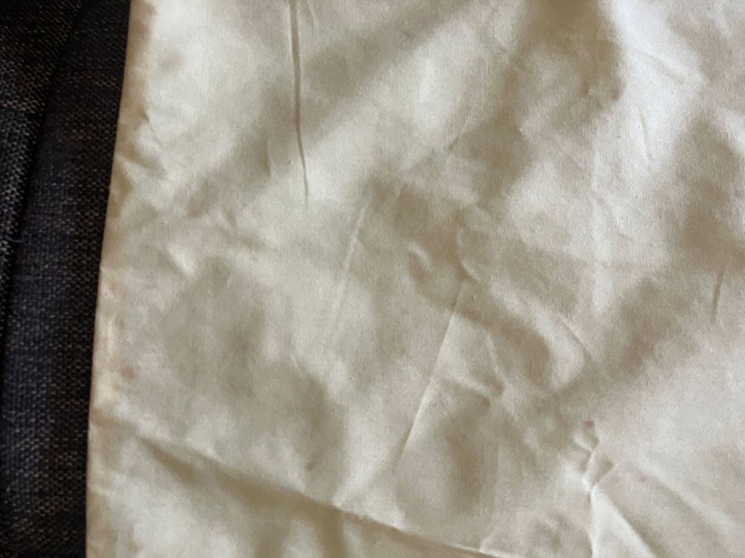 マ*ウ様 藤城清治 月光の響き 限定　409/450