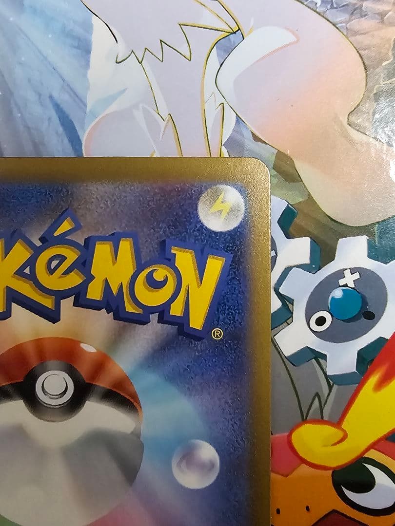 メイのはげまし　SAR sar