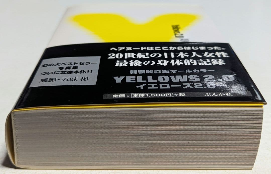 イエローズ2.0 オールカラー 五味彬 YELLOWS 帯付き ぶんか社