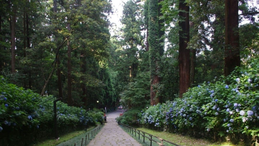 ソウルグッドマン様　PENTAX K−X ダブルレンズ　一眼レフ　デビュー