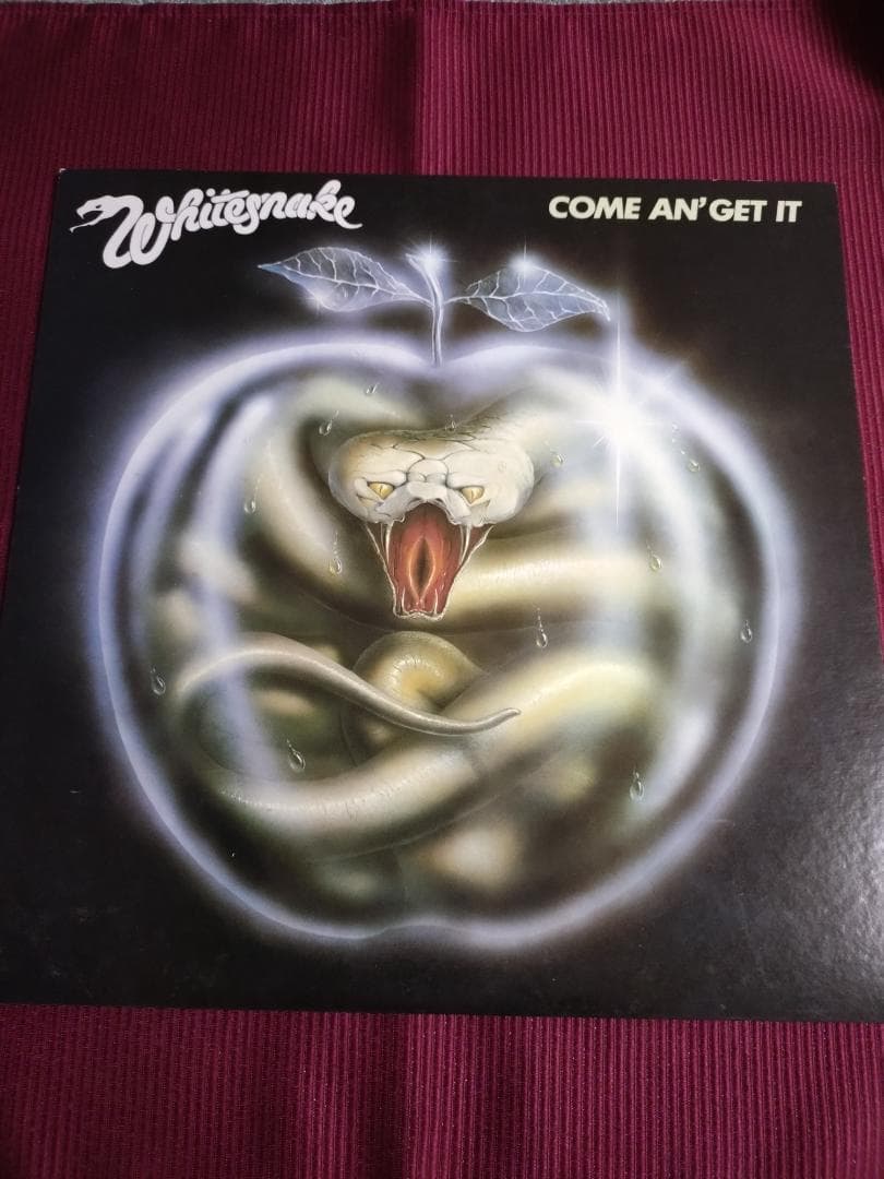 洋楽レコードセット 9枚 Whitesnake Deep Purple