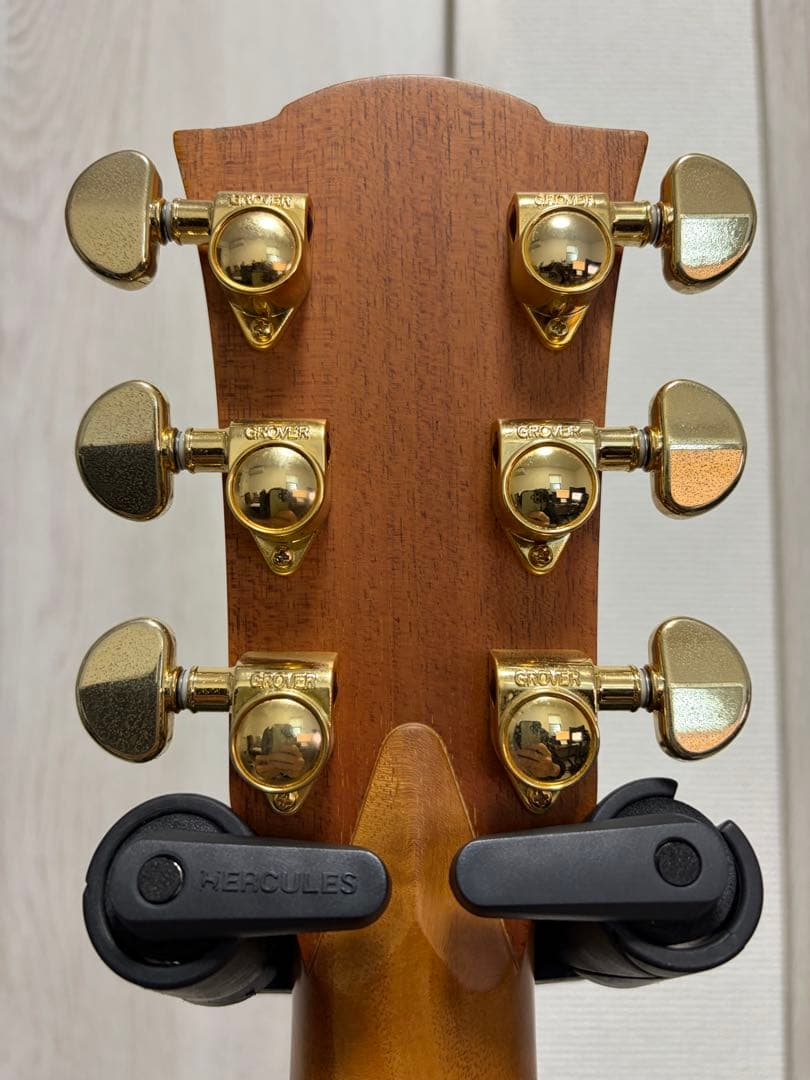 ギター UIUI ColeClark FL2EC RDBW FatLady2