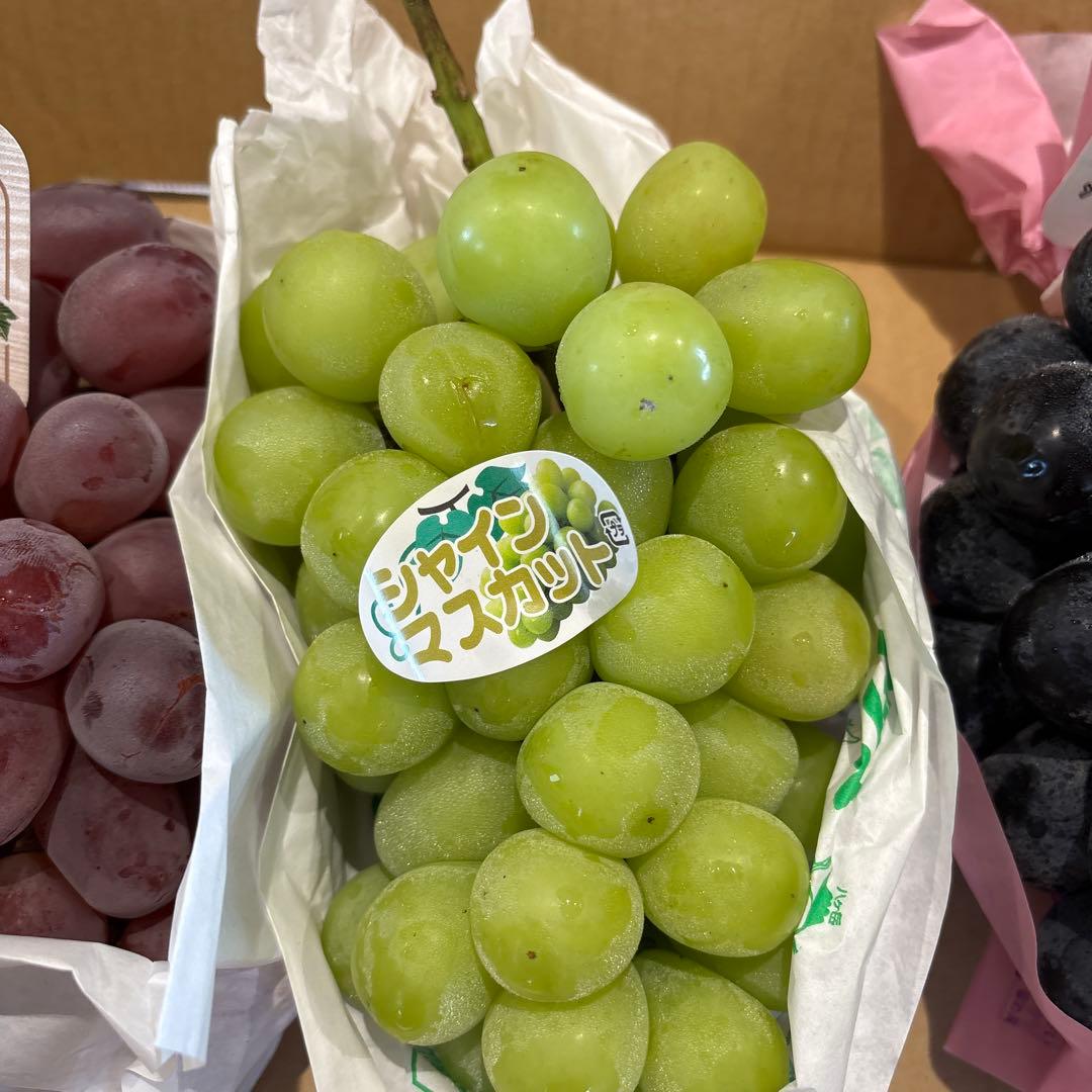 momo106様 長野三姉妹 しょうがの佃煮5