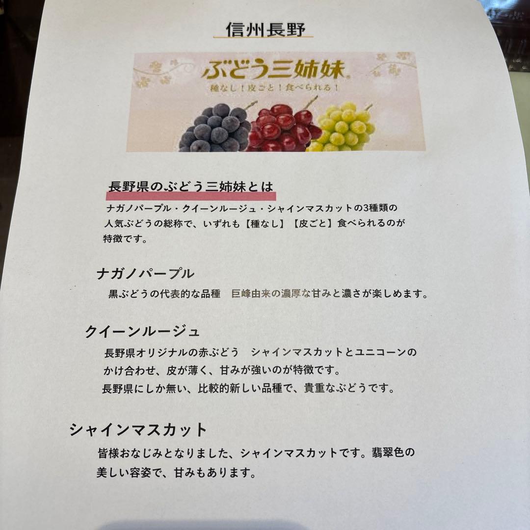 momo106様 長野三姉妹 しょうがの佃煮5