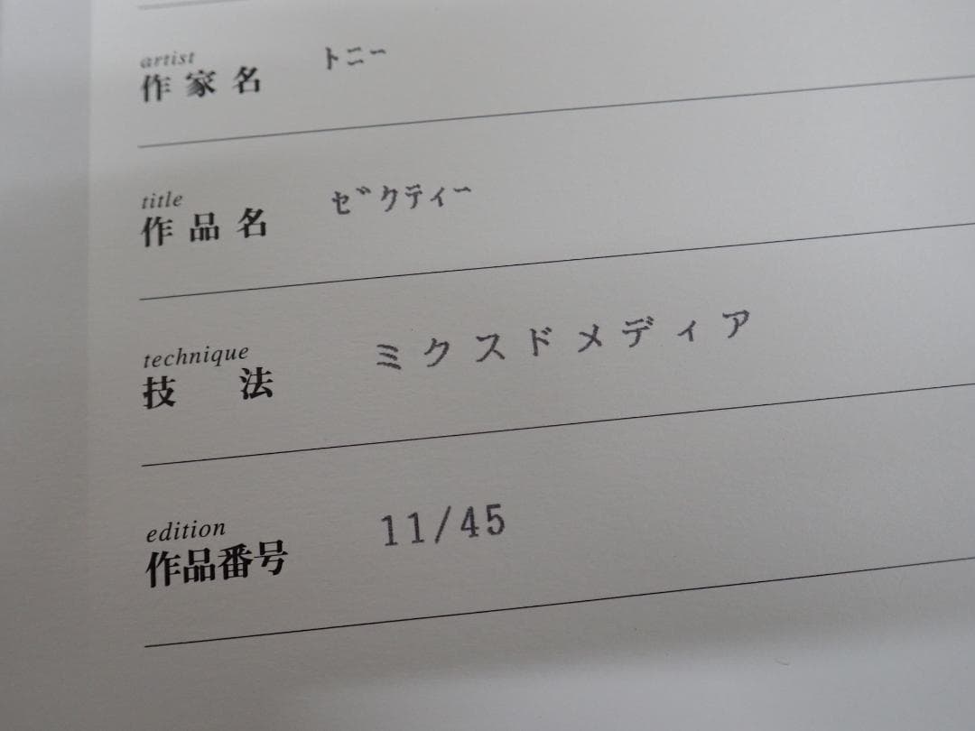 ㉚新品・保証書付 Tony　トニー「ゼクティー」ミクスドメディア アールビバン