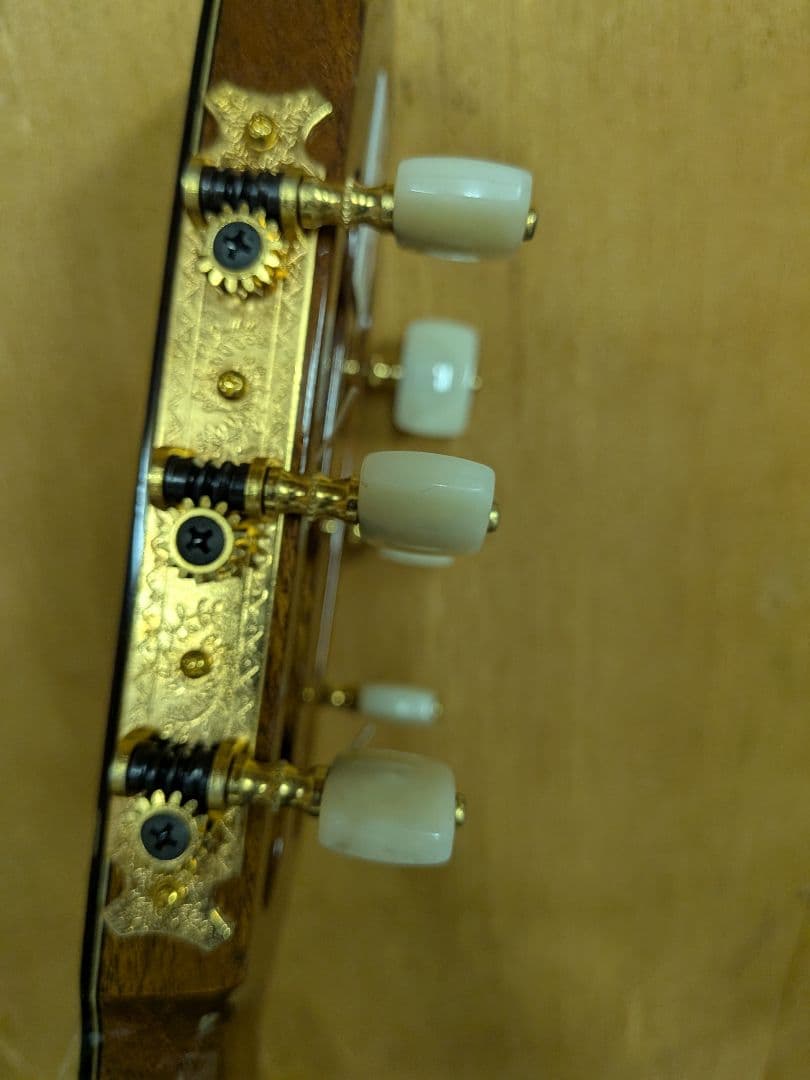 希少ASTURIAS（アストリアス）