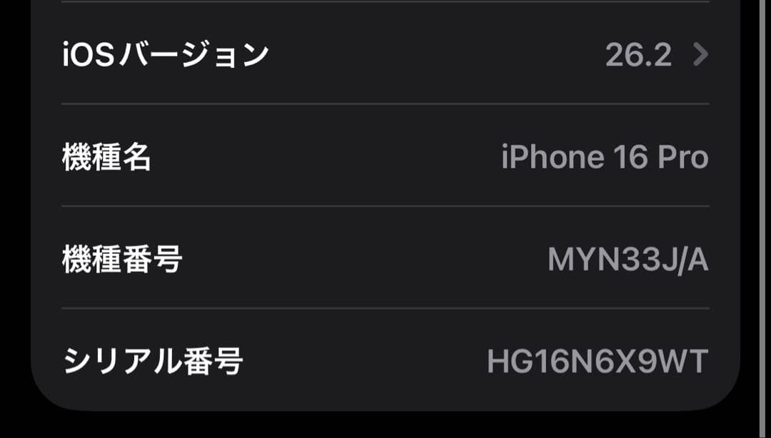 【hiro様様】iPhone16Pro 256GB ナチュラルチタニウム 本体