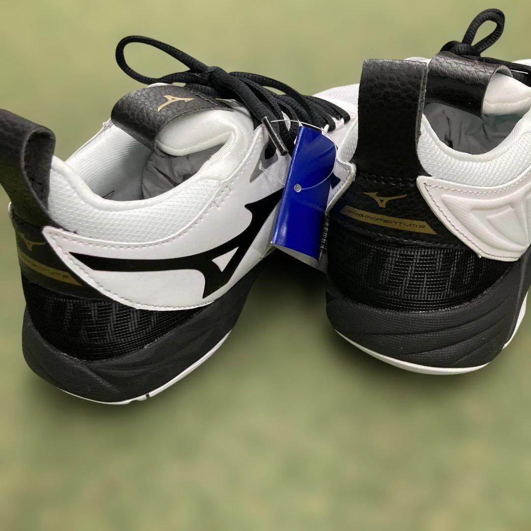 ミズノ　V1GA211209 24.5㎝ ウエーブモーメンタム2