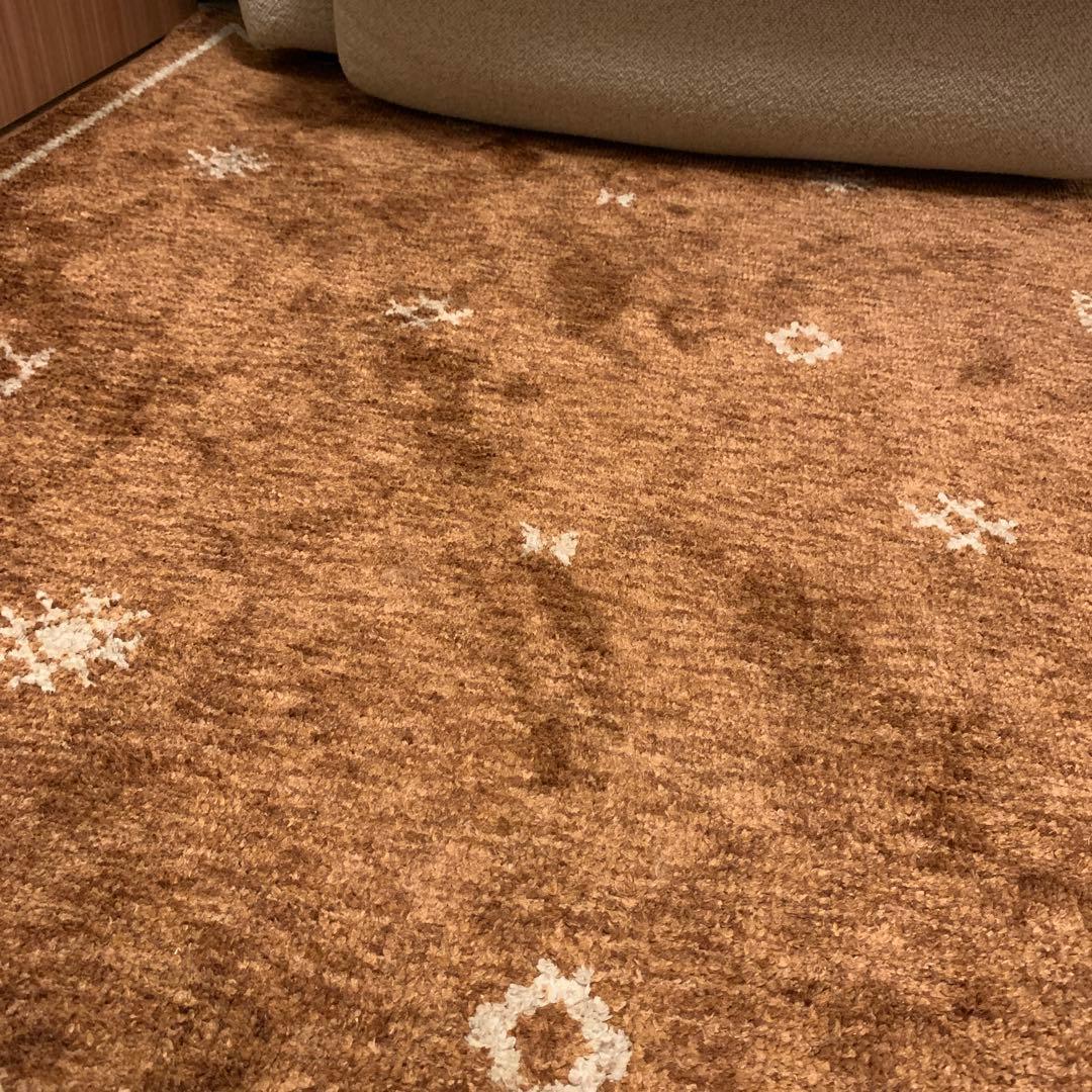 ウニコ SAMIRA(サミラ) ラグ テラコッタ 200×200